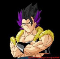 /album/fotogaleria/gotenks-1-jpg/